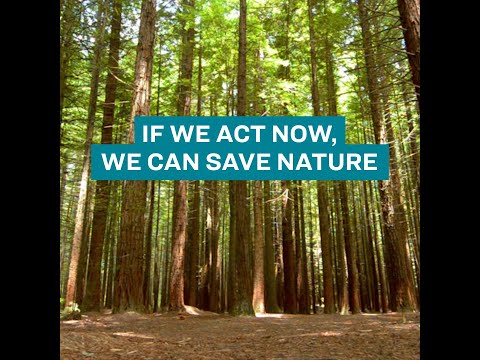 If we act now, we can save nature