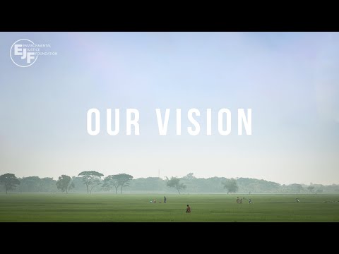 The Environmental Justice Foundation's vision