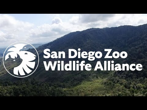 Introducing San Diego Zoo Wildlife Alliance