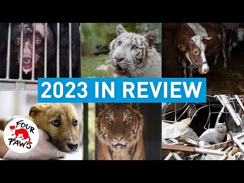 FOUR PAWS 2023 | A year of impact for animals worldwide