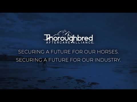 Thoroughbred Aftercare Alliance overview 2020