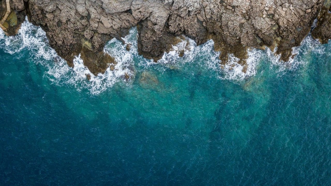 How Oceana Protects Our Oceans | Oceana