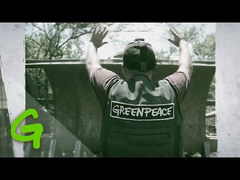 50 years of Greenpeace