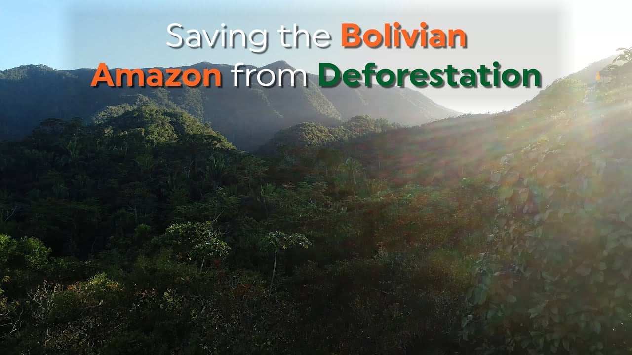 Stopping Deforestation at the Edge of the Bolivian Amazon