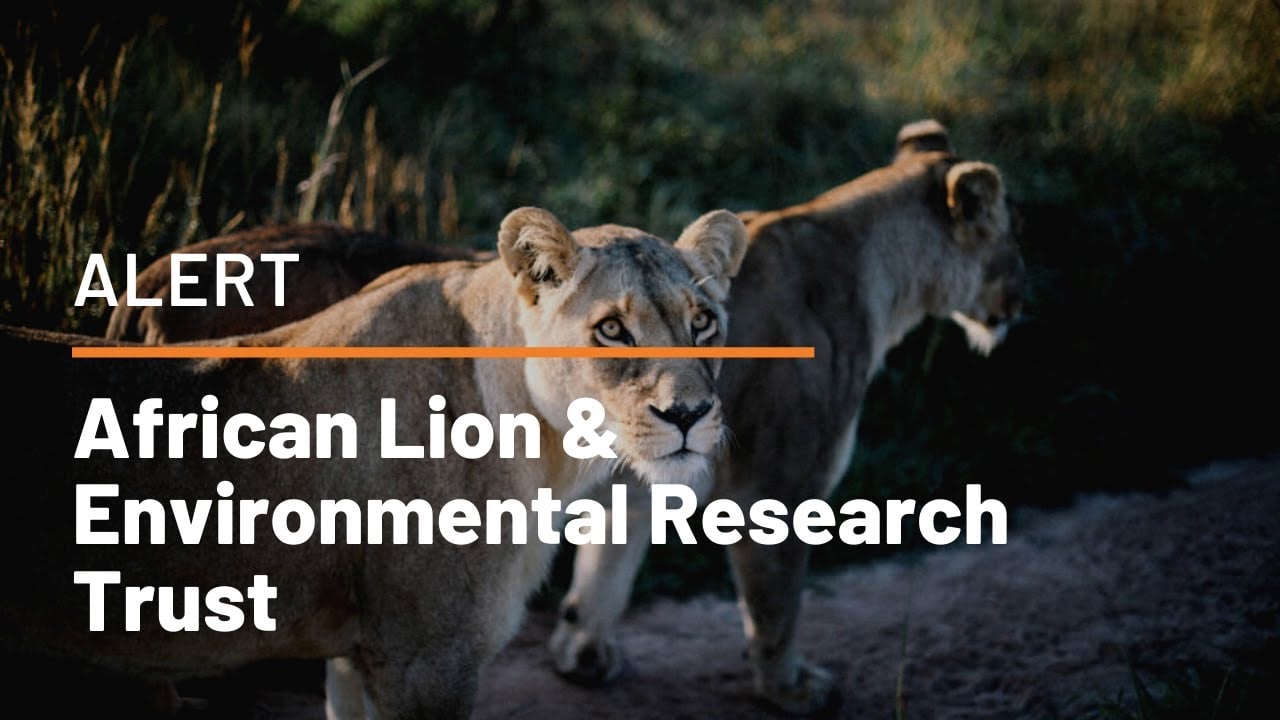 ALERT: African Lion & Environmental Research Trust