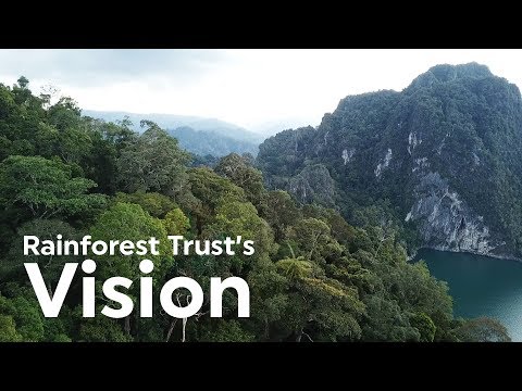 Rainforest Trust's Vision