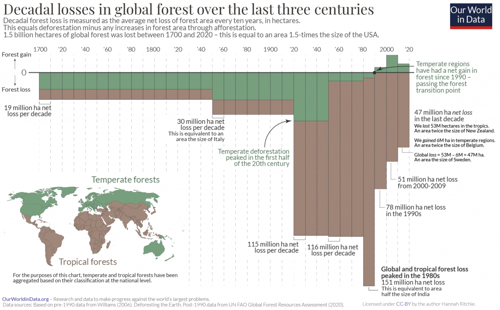 Illustration of long-term forest loss