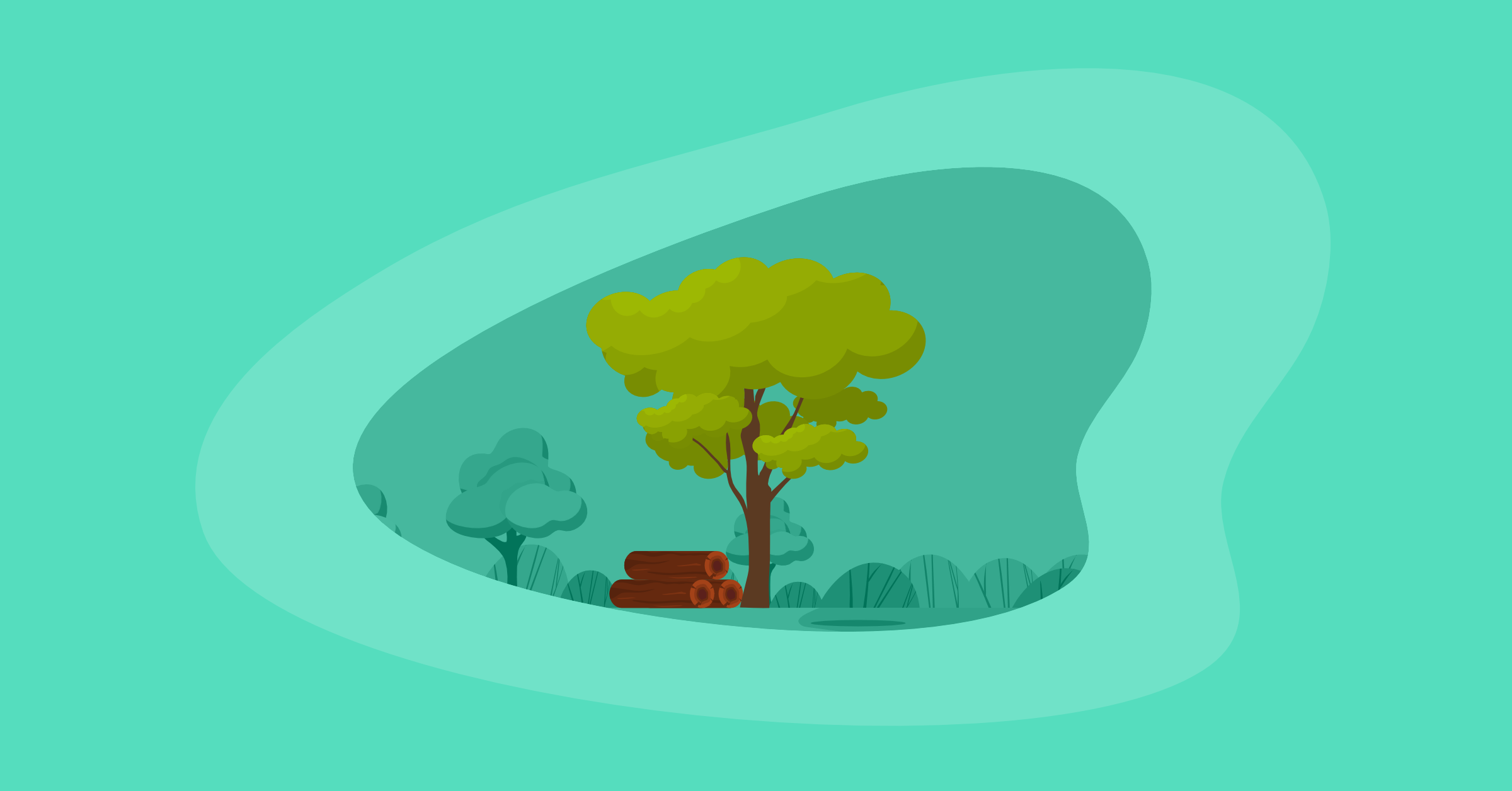 Illustration of a merbau tree and wood