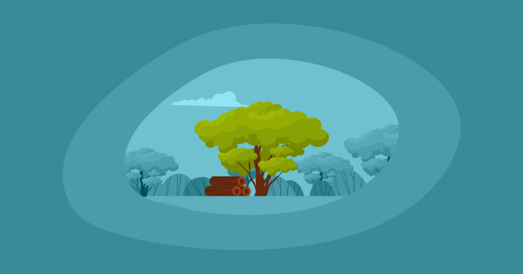 How Sustainable Is Acacia Wood? Here Are the Facts Impactful Ninja