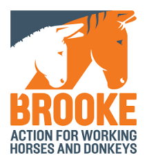 Logo for Brooke