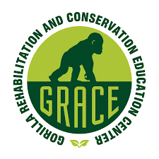 Logo for Gorilla Rehabilitation and Conservation Education Organization