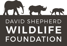 Logo for David Shepherd Wildlife Foundation