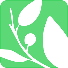 Logo for Seeds of Peace