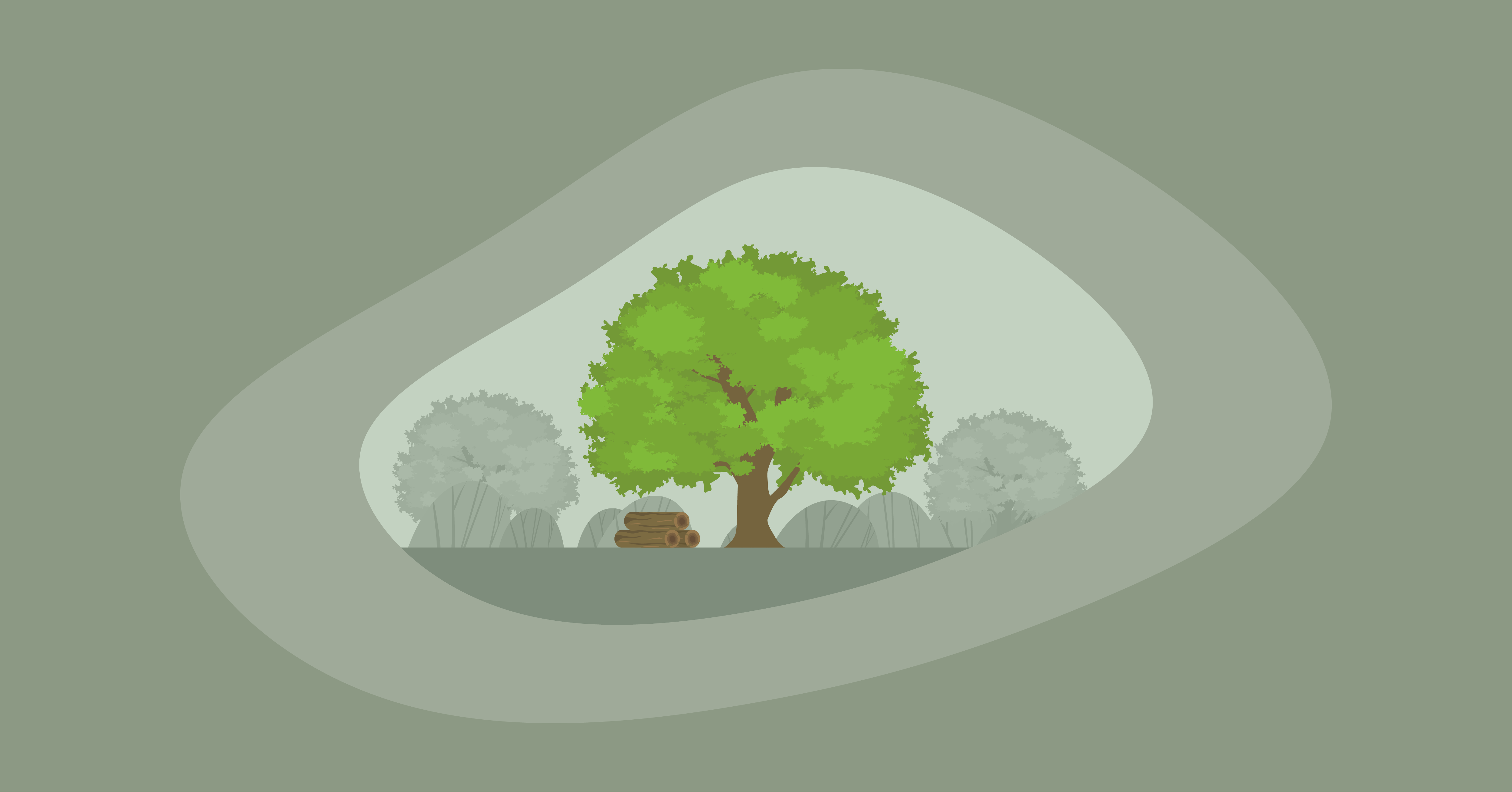 Illustration of an elm tree and wood