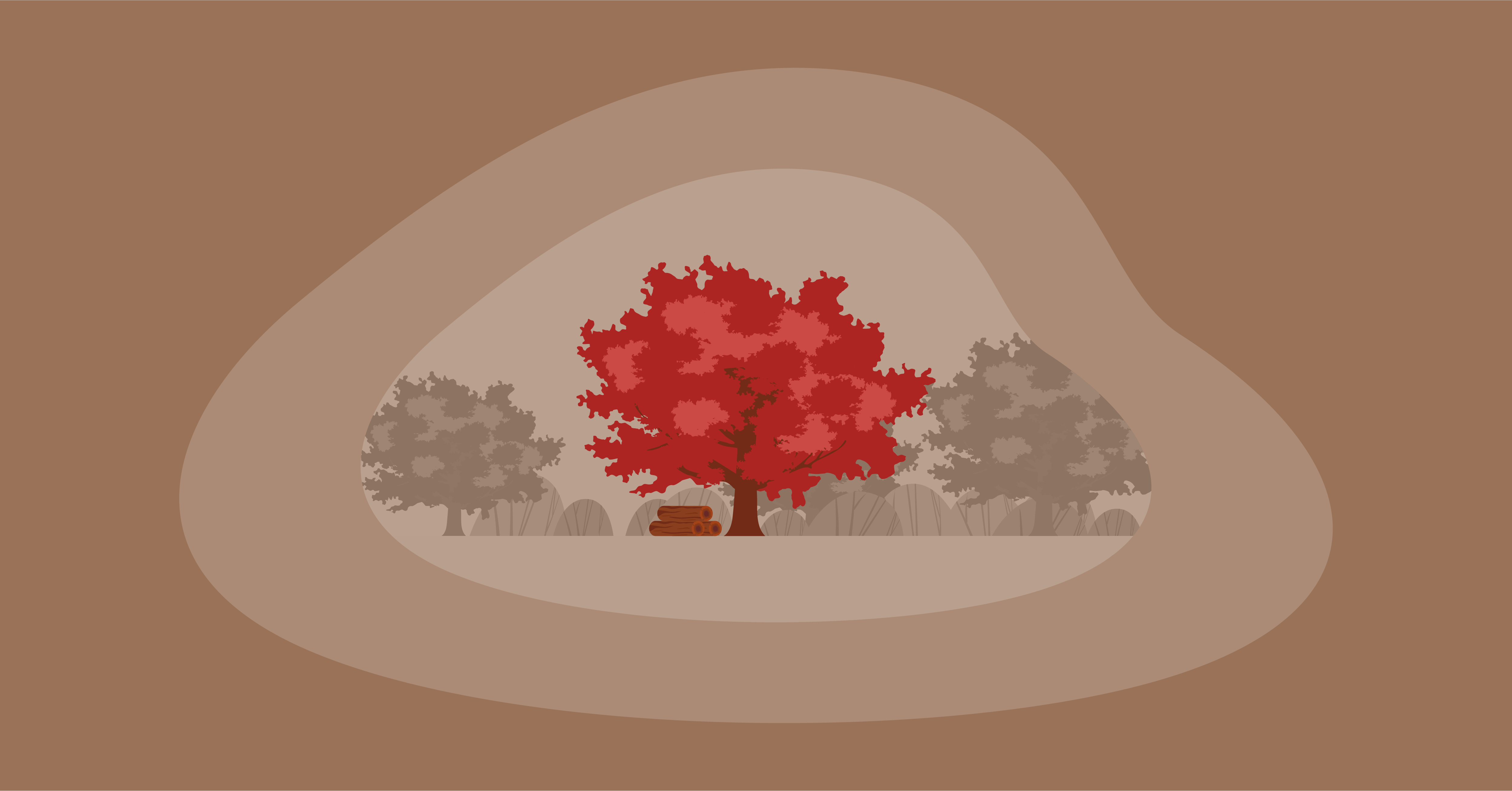 Illustration of a red oak tree and wood