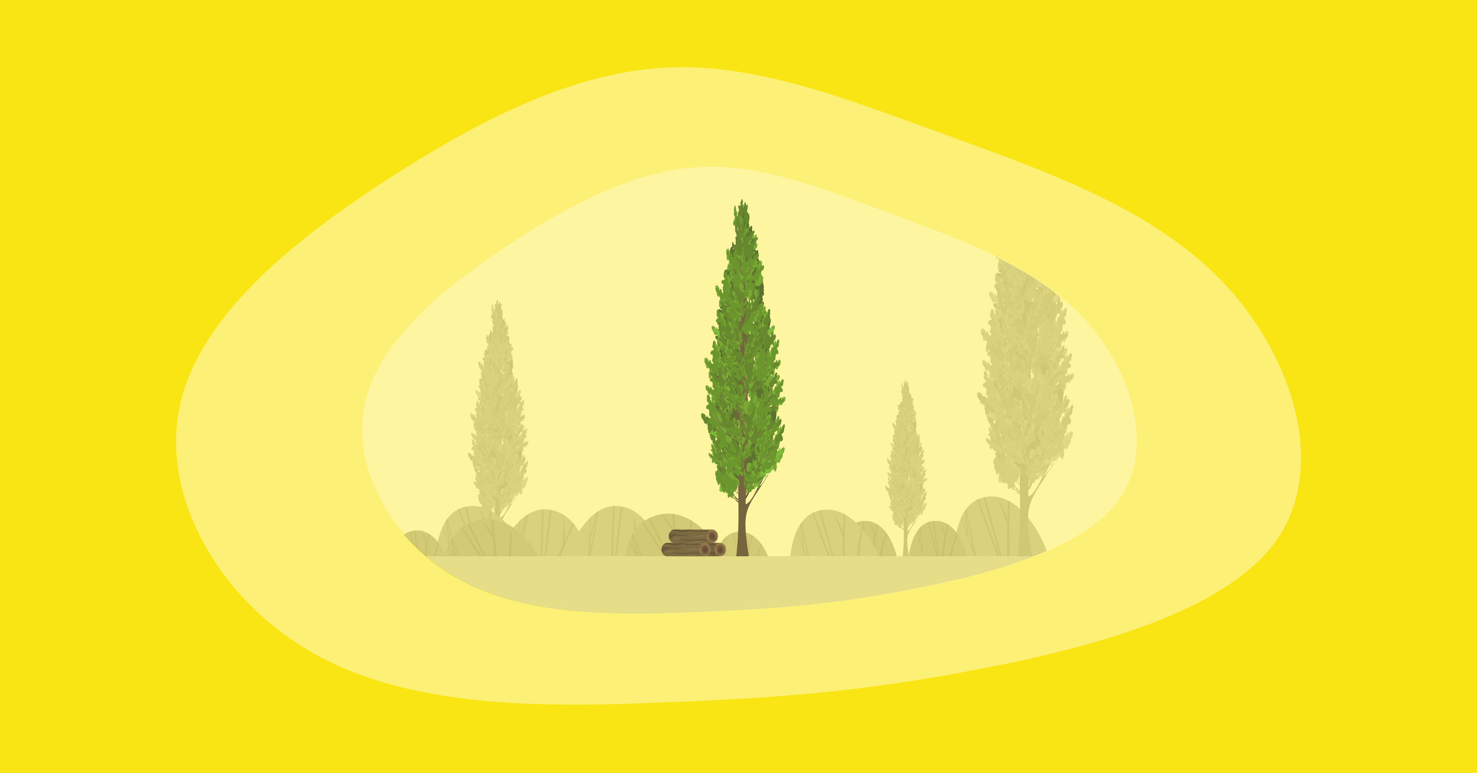 Illustration of a cypress tree and wood