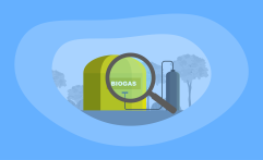 Biogas Energy Explained: All You Need to Know