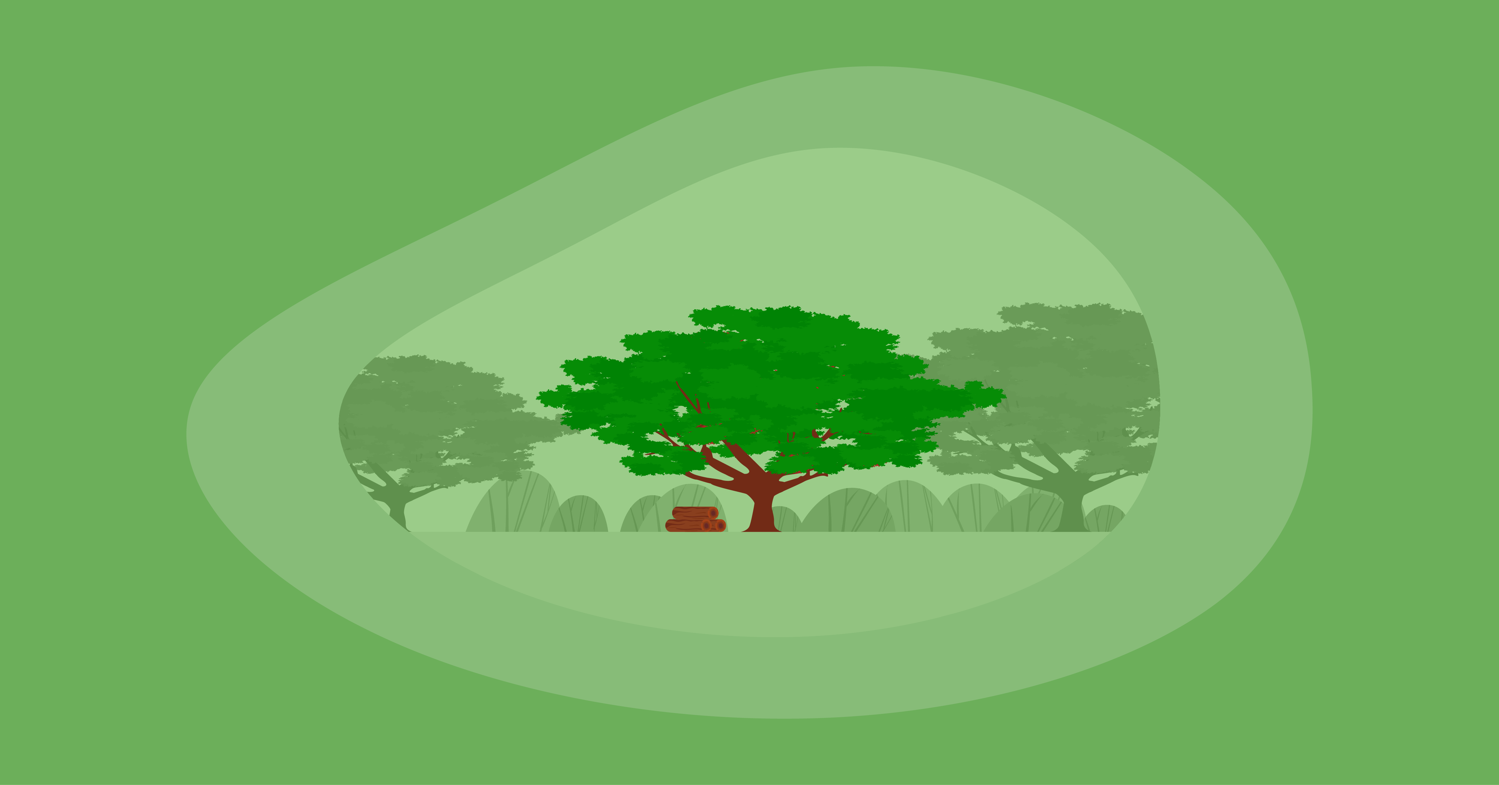 Illustration of a koa tree and wood