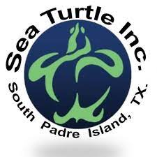 Logo for Sea Turtle Inc.