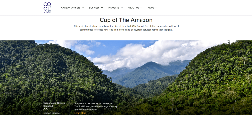 Screenshot of the CoolEffect Cup of the Amazon page