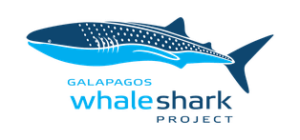 Logo for Galapagos Whale Shark Project