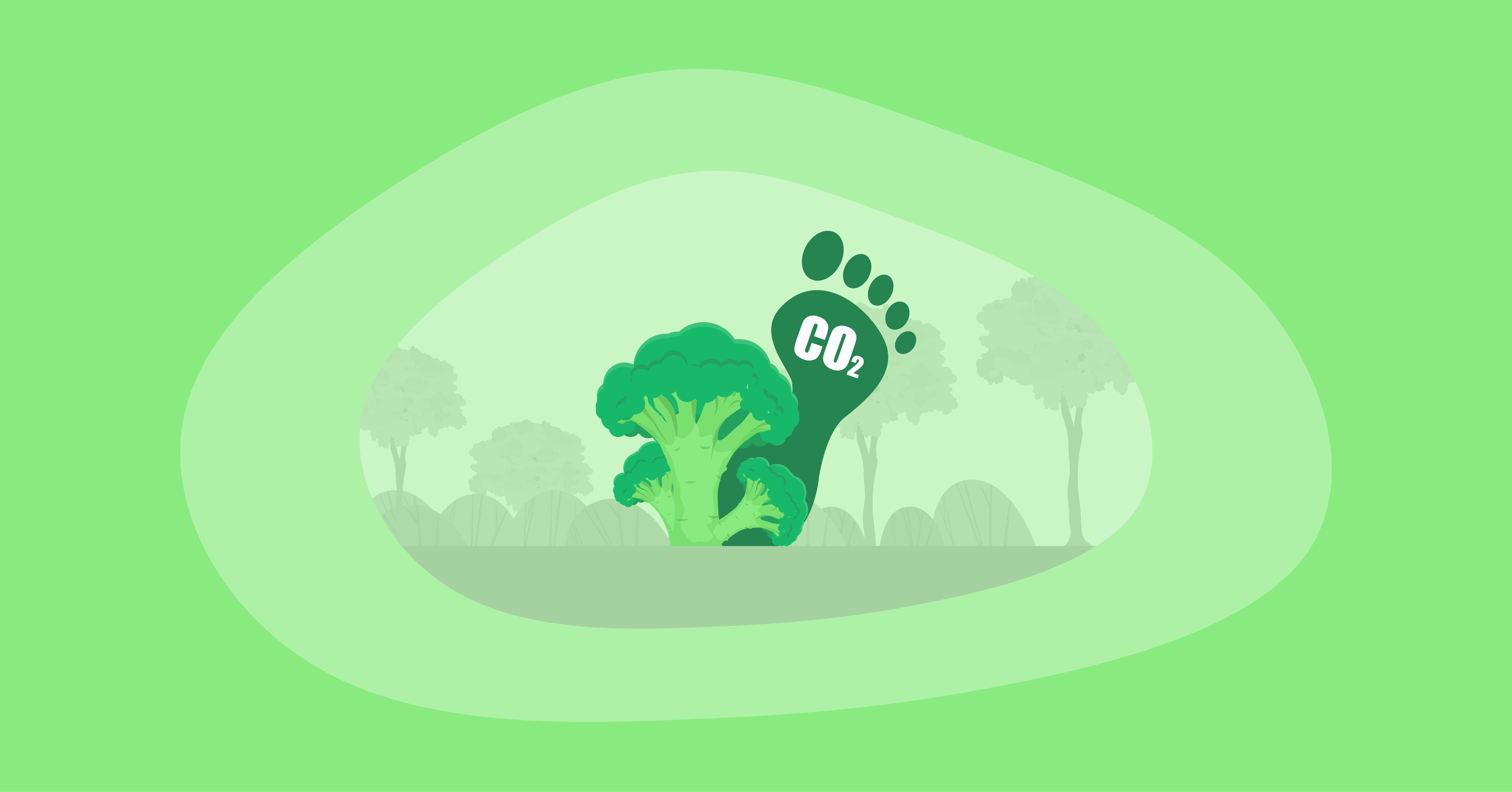 Attempted illustration of broccoli with its carbon footprint