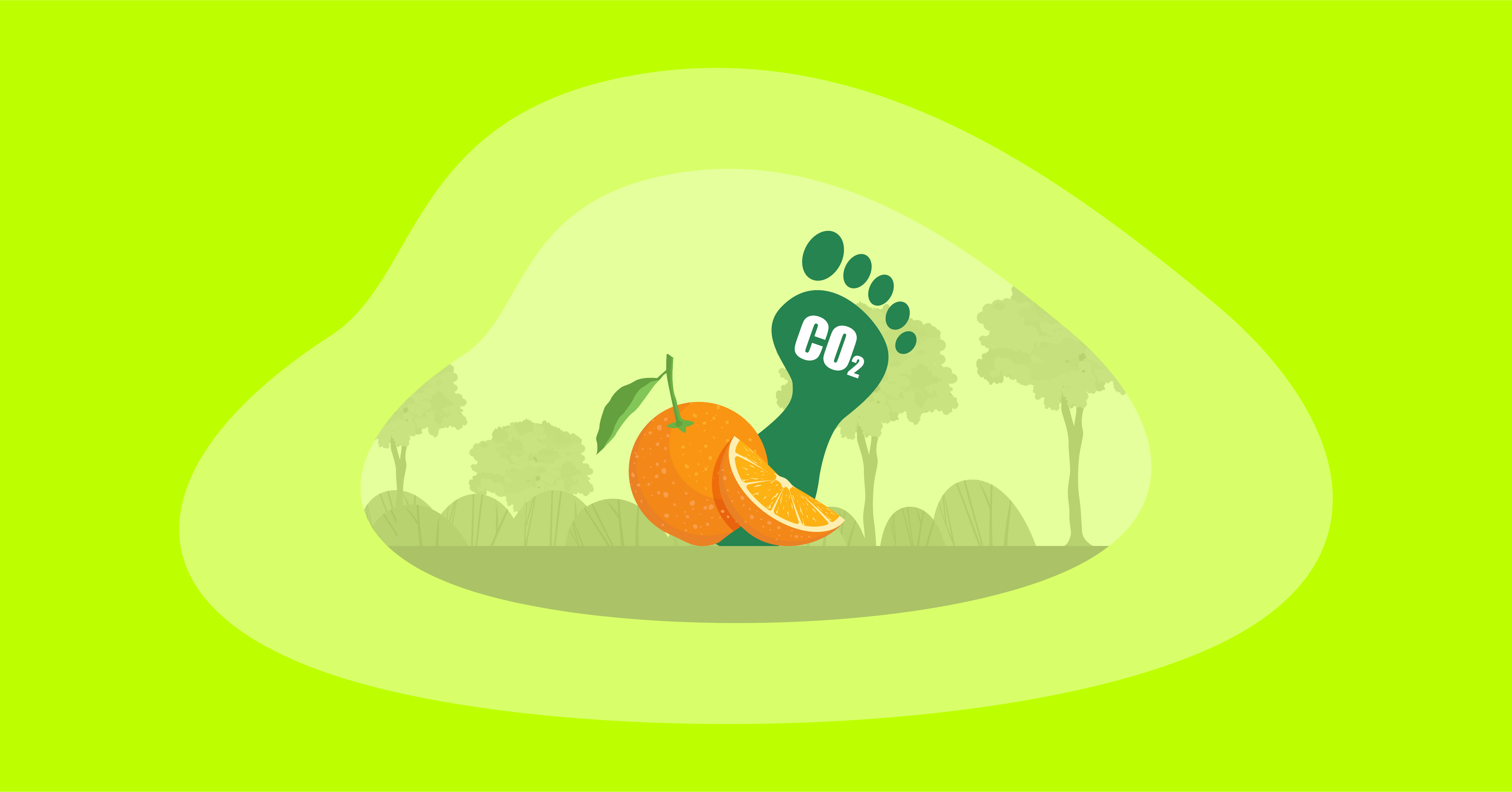 Attempted illustration of oranges with their carbon footprint