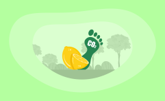 What Is the Carbon Footprint of Lemons? A Life-Cycle Analysis
