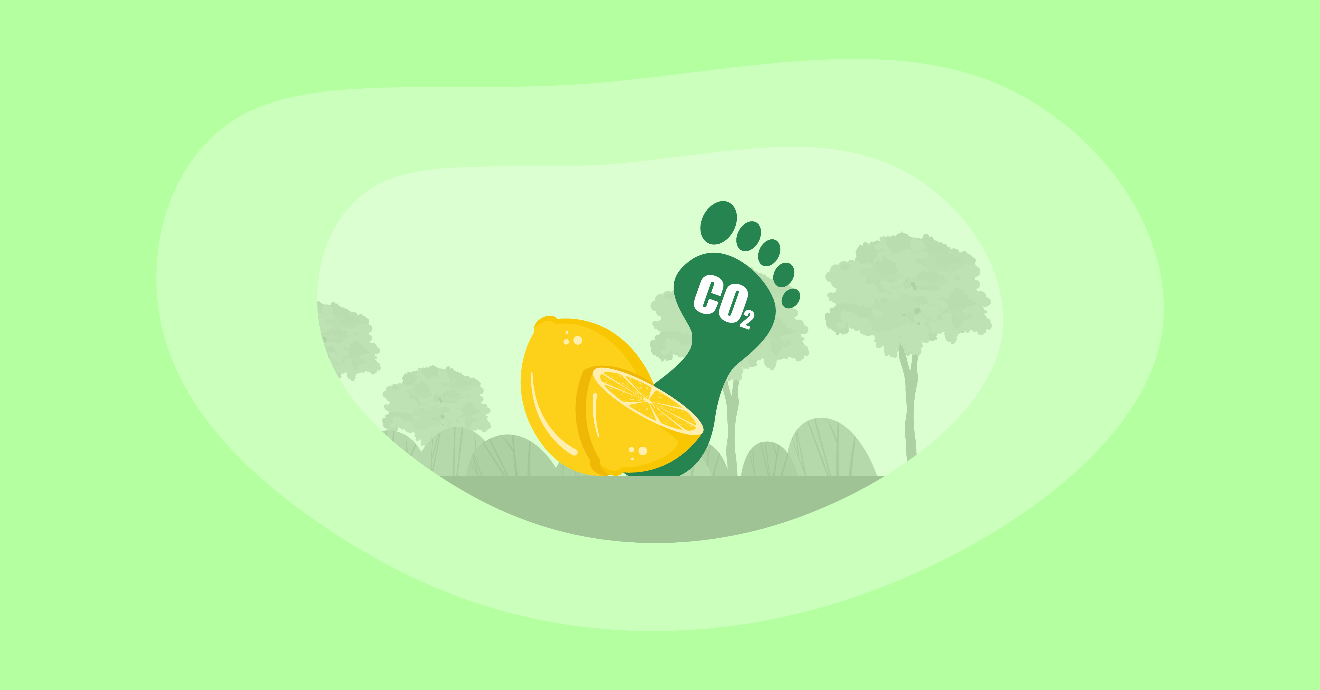 Attempted illustration of lemons with their carbon footprint