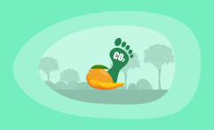 What Is the Carbon Footprint of Mangoes? A Life-Cycle Analysis