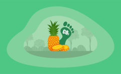 What Is the Carbon Footprint of Pineapples? A Life-Cycle Analysis