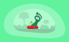 What Is the Carbon Footprint of Cherries? A Life-Cycle Analysis