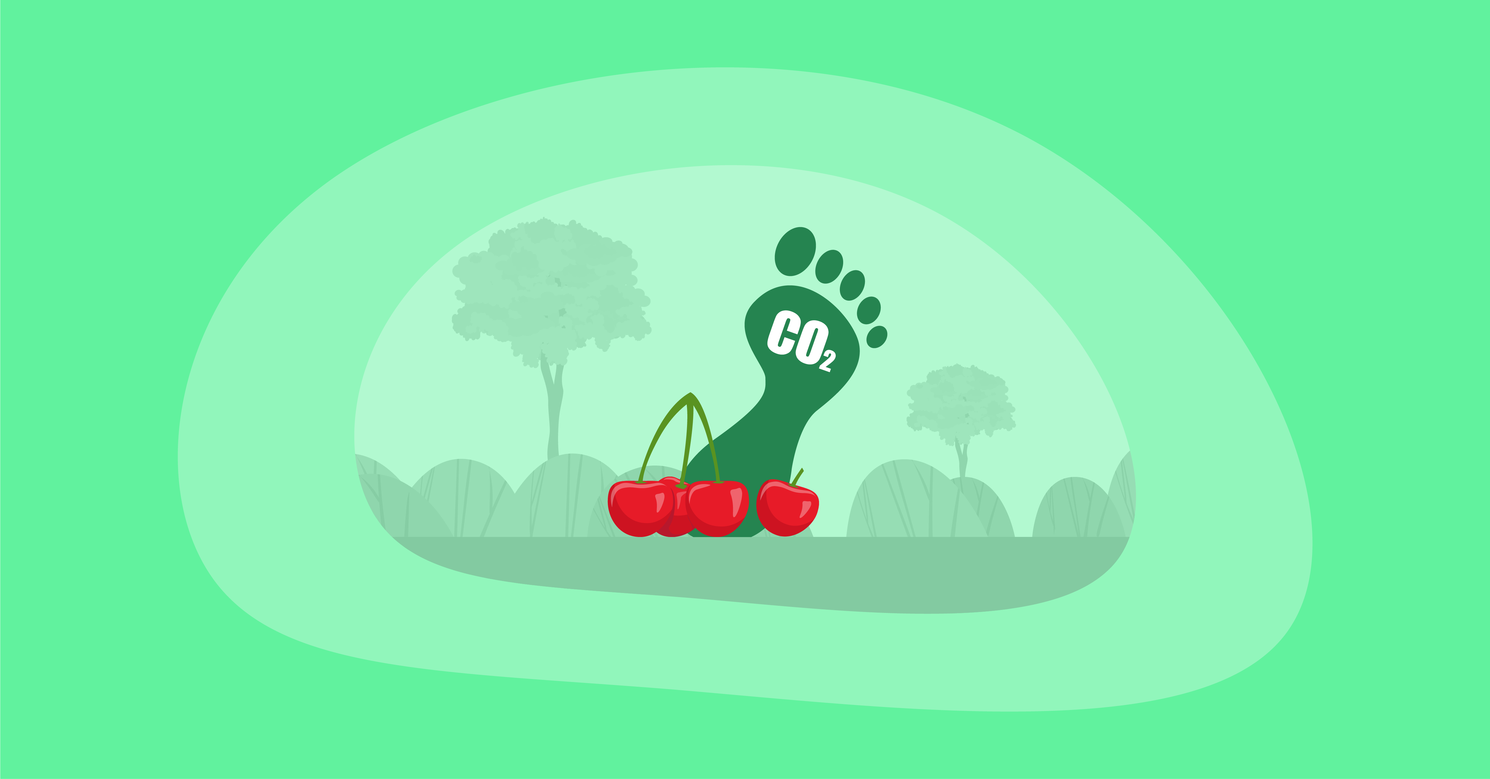 Attempted illustration of cherries with their carbon footprint