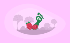 What Is the Carbon Footprint of Raspberries? A Life-Cycle Analysis