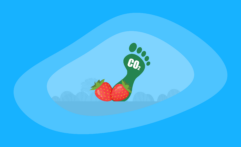 What Is the Carbon Footprint of Strawberries? A Life-Cycle Analysis
