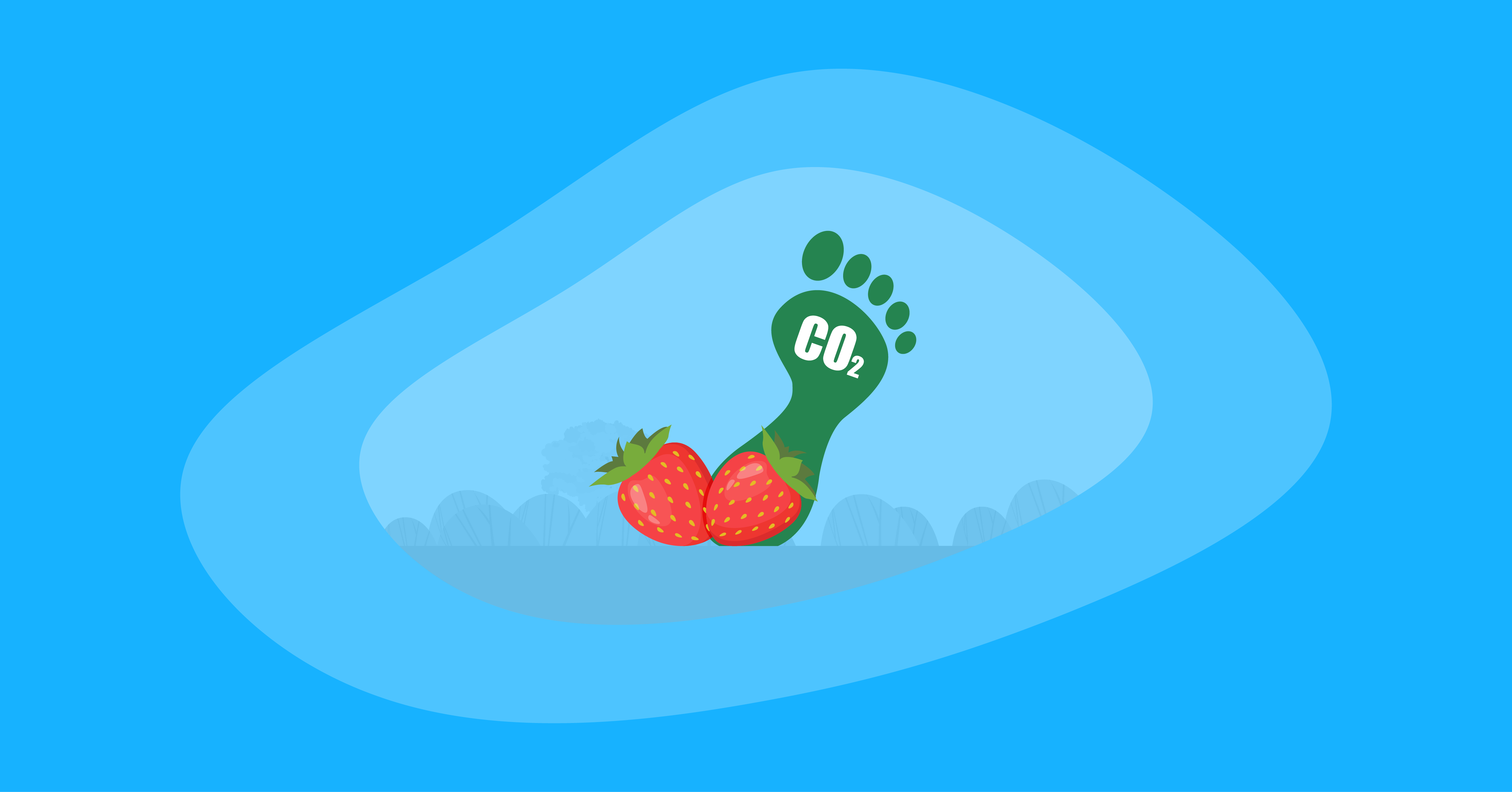 Attempted illustration of strawberries with their carbon footprint