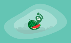 What Is the Carbon Footprint of Watermelons? A Life-Cycle Analysis