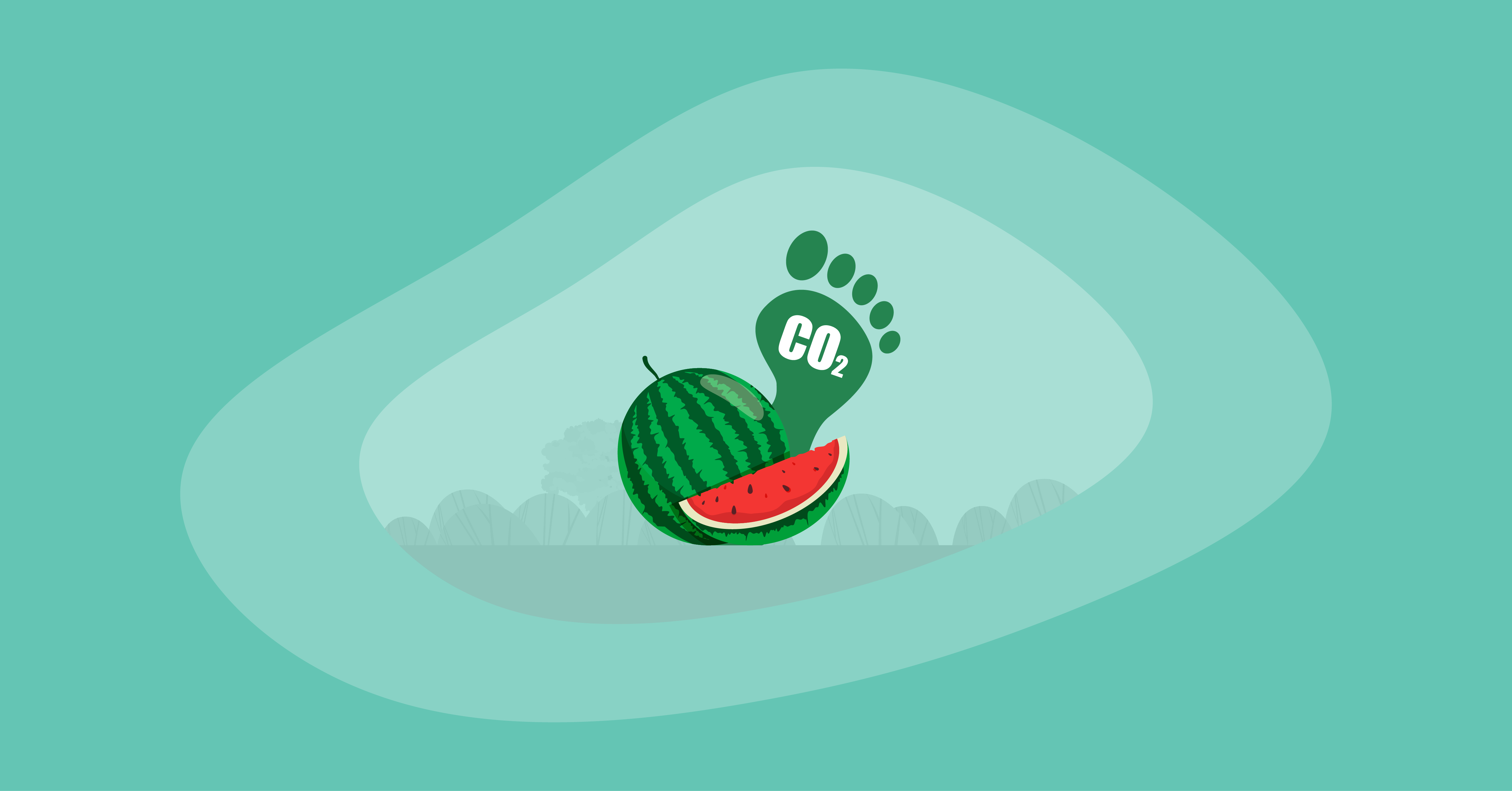 Attempted illustration of watermelons with their carbon footprint