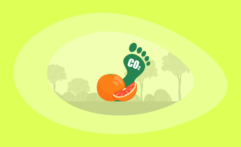 What Is the Carbon Footprint of Grapefruits? A Life-Cycle Analysis