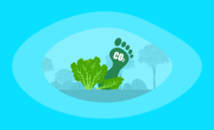 What Is the Carbon Footprint of Kale? A Life-Cycle Analysis
