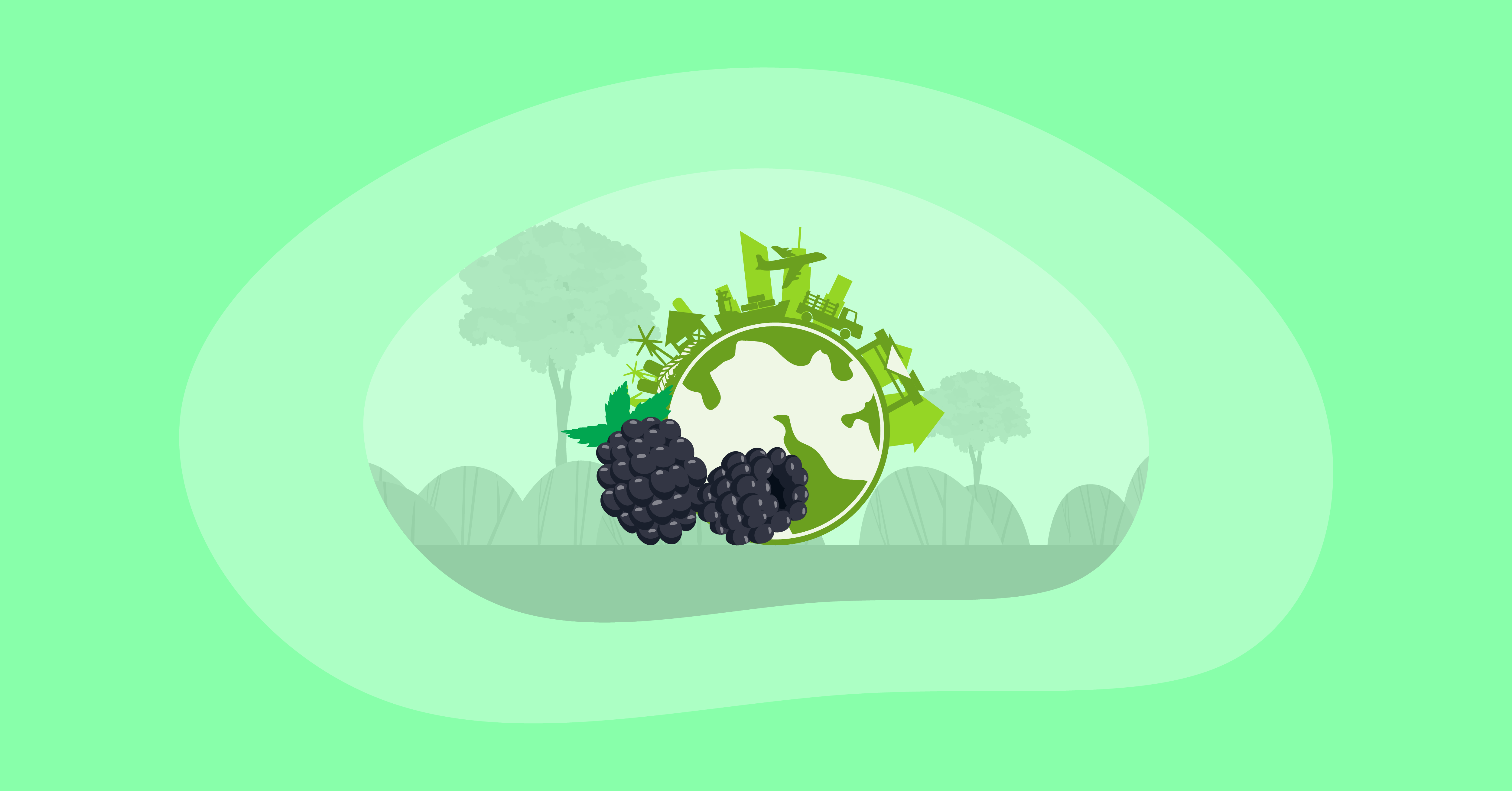 Illustration of blackberries and their environmental impact