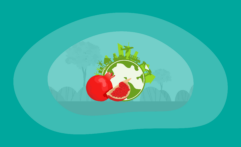 The Environmental Impact of Pomegranates: From Farm to Table