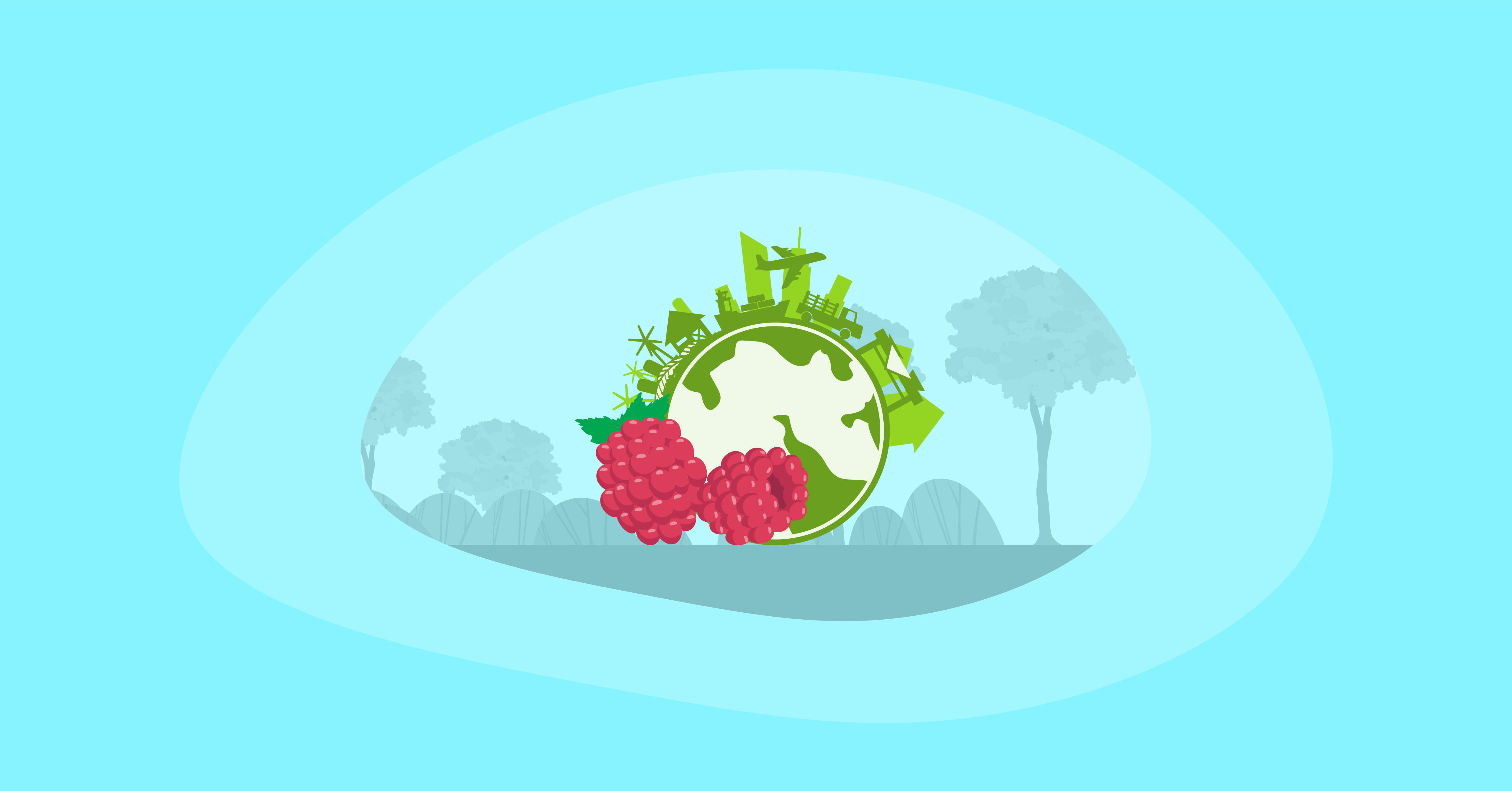 Illustration of raspberries and their environmental impact