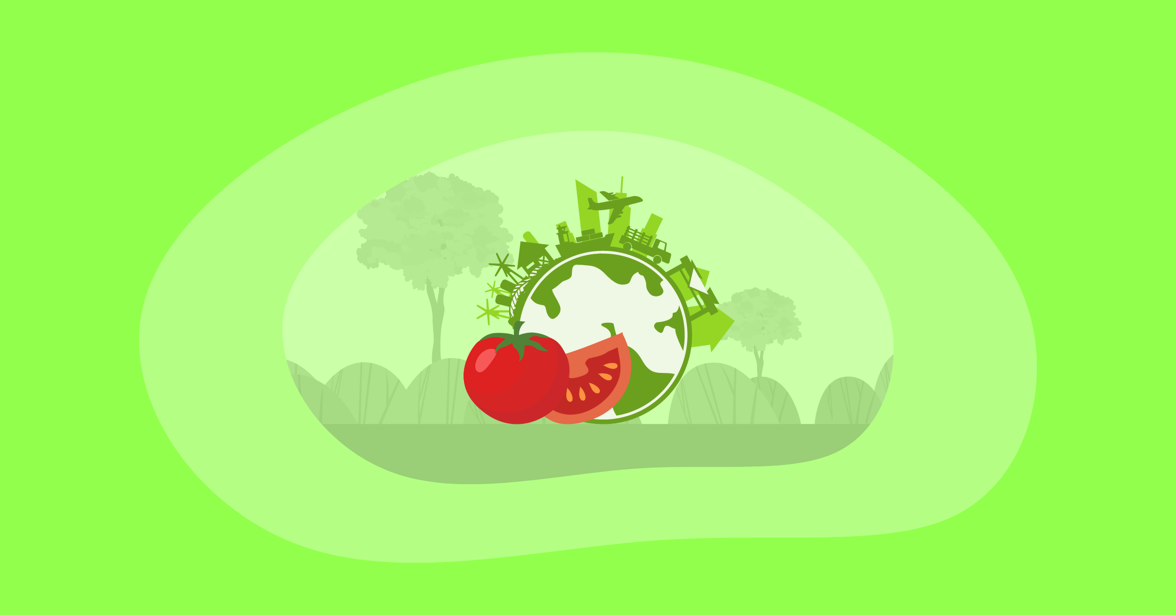 Illustration of tomatoes and its environmental impact
