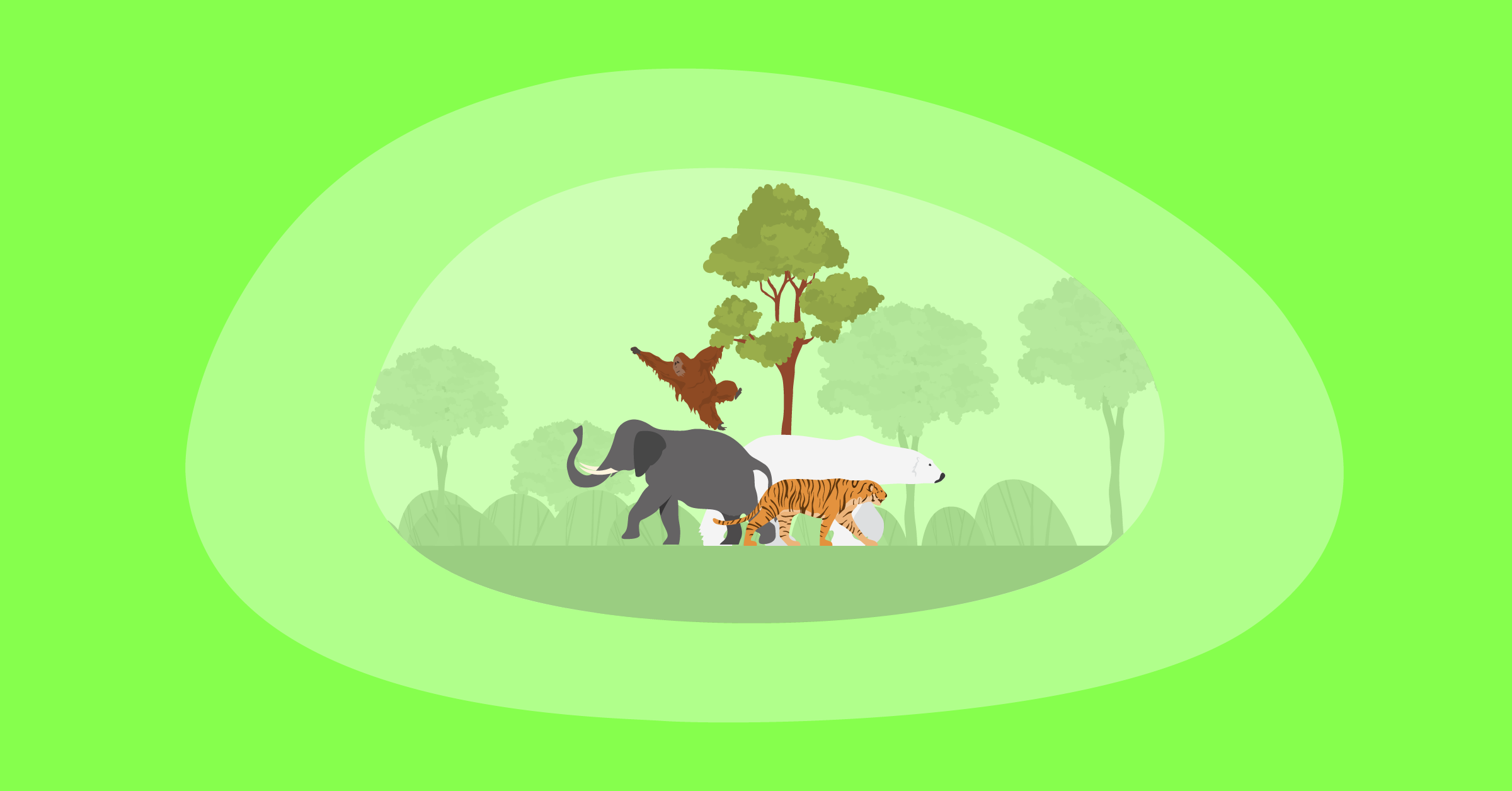 Illustration of Wild Animals